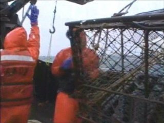 PESCA0 (2)  GANADO